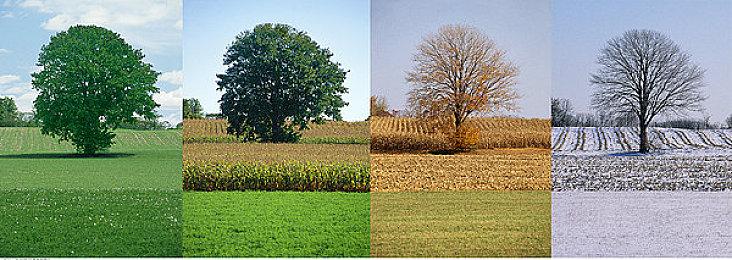 《GTA6》不跳票后 T2市值终于超越了EA