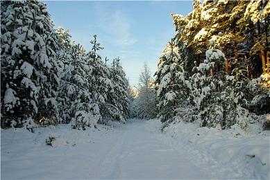 《星之海洋2：第二个故事R》评分解禁 M站均分86